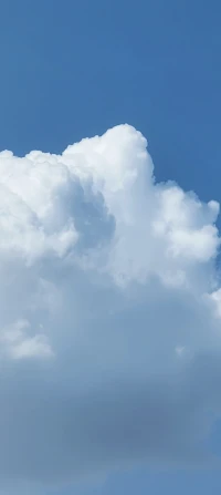 如果你對天空向往
那你一定有掙脫的力量
不用懷疑
去吧~配圖