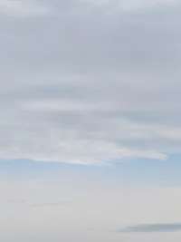 隨緣的意思是，很多事情，不是你單方面的意志意愿努力所決定的配圖