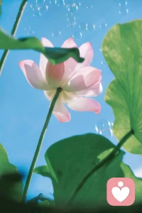 物極必反，事出反常必有妖
老祖宗的話真的有道理極了
可以體會出n層感覺配圖