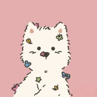 no 作 no die
要不你先試試看die 不 die
才知道是不是作啊配圖