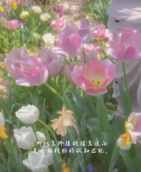 卑微躲閃的人只愿意相信世間灰暗，我不用拯救配圖