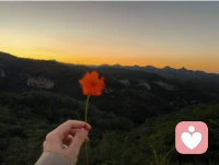 節(jié)日快樂～配圖