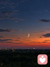 可是真的好美～
声明: 非自己拍摄配图