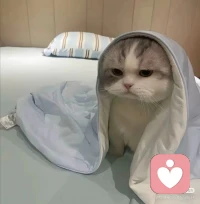 “华丽的跌倒，胜过无谓的徘徊