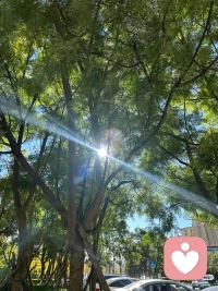 允許不改變，改變才會發生.
人是不會改變的，除非他感覺到被愛。
人是不會改變的，除非他感覺到很多的尊重。
人是不會改變的，除非他允許不改變也是可以的，改變就發生了。配圖