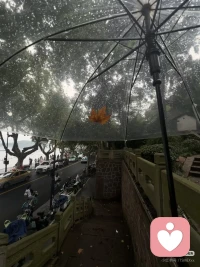 1.我允许自己毫无罪恶感的休息
2.谁内耗我我就远离谁
3.我没有什么好想你证明的
4.我比认知中的自己还要强大还要美丽
5.我是很有价值的，我不讨好任何人
6.我天生会带来好运
7.我注定会过上丰盛富足喜乐的生活