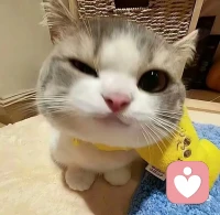 当你感到无人可依的时候
可能是你人生最大的转折点
走头无路是大彻大悟
大彻大悟之后是无所畏惧
无所畏惧之后是风生水起