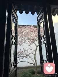 当你感到无人可依的时候
可能是你人生最大的转折点
走头无路是大彻大悟
大彻大悟之后是无所畏惧
无所畏惧之后是风生水起