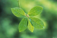 內(nèi)心平靜才會(huì)讓我們內(nèi)心不斷涌出力量，我們才有了面對(duì)生活挫折的勇氣配圖