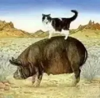 猫和猪是好朋友。一天猫掉进大坑, 猪拿来绳子，猫叫猪把绳子扔下来，结果它整捆扔了下去。 猫很郁闷的说：这样扔下来，怎么拉我上去？ 猪说：不然怎么做？ 猫说：你应该拉住一头绳子啊！ 猪就跳下去，拿了绳子的一头，说：现在可以了！ 猫哭了，哭得很幸福。 有种朋友不是很聪明，却值得你终生拥有。 --—猪对小猫说：你猜猜我的口袋里有几块糖？ 小猫说：猜对了你给我吃吗？ 猪点点头：嗯，猜对了两块都给你！ 小猫咽了咽口水说：我猜五块！ 然后，猪笑着把糖放到小猫手里，说：我还欠你三块... 这不是低智商的笑话， 而是，因为爱你，所以允许了你的小贪心。 人生最快乐的事就是有一个能陪着你哭陪着你笑的朋友。可这个世界上总是看你笑话的人很多，能够陪着你哭的人很少！