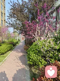 人如果看不见自己已经拥有的，就会像一个漫无目的的登山者，不停的越过一座座的高山，缺感觉永远达不到自己想要达到的高度，内心自责又沮丧。我们需要时不时的回头看看，看看那些自己已经翻过的山，跨过的河，肯定自己已经做到的部分。然后在知足常乐的基础上持续探索。配图