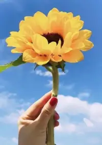 心里有光，人生就不會迷失方向，有多少人的光在變亮，又有多少人心里的光在變暗呢配圖
