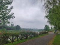 倏忽溫風至，因循小暑來。今日小暑，氣溫逐漸回升，愿你小暑有清涼，盛夏長安康！配圖