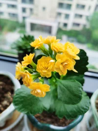 如何控制自己的坏情绪？

控制坏情绪可以从以下几个方面入手：

🌈自我觉察：首先要意识到自己处于坏情绪之中，留意情绪产生的触发点和身体的反应。
🌈深呼吸和放松：当察觉到坏情绪时，尝试做几次深呼吸，放松身体的肌肉，缓解紧张感。
🌈暂时离开情境：如果可能，先从引发坏情绪的环境中暂时离开，给自己一个冷静的空间。
🌈改变思维方式：尝试从不同的角度看待问题，避免过度消极或极端的想法。
🌈倾诉与分享：向信任的朋友、家人倾诉自己的感受，他们的理解和支持可能会帮助您减轻情绪压力。
🌈运动锻炼：适当的运动可以促进身体分泌内啡肽等让人愉悦的神经递质，改善情绪。
🌈培养兴趣爱好：投入到自己喜欢的活动中，转移注意力，忘却烦恼。
🌈良好的睡眠：保证充足的睡眠，有助于稳定情绪和提高心理韧性。
🌈冥想与正念：通过冥想和正念练习，专注于当下的感受，减少情绪的干扰。

♥控制坏情绪需要不断地练习和自我调整，逐渐培养积极的心态和应对情绪的能力。配图