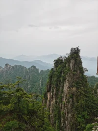 此時此刻是未來的曾幾何向時，過去的不能改變，唯有當下是握在手中的鑰匙。所有的過去都有正向意義，我們思維選擇什么情緒就會表達什么。感恩過去，憧憬未來，輕裝上陣才會步伐矯健。親愛的小伙伴，你懂我的意思嗎？加油向未來，一切的美好你都值得擁有！配圖