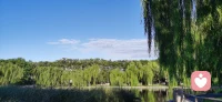 與其抱怨黑暗，不如點燃蠟燭
          這是一句非常有引導意義的諺語。
          我們總會因為生活中的各種不如意影響自己的心情，在抱怨中度過。假如可以，讓我們像在黑暗中點燃一支蠟燭那樣，為自己點亮一盞燈，抱怨會漸漸褪去，留下的是對自己的信心和溫暖。配圖