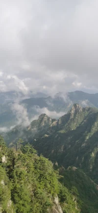 **白熊效應**（又稱反彈效應）是一種心理現象，指當人們刻意壓抑或禁止某個想法、情緒或行為時，反而會更容易頻繁地想到它或難以控制它。這一概念源于心理學中的**思維抑制**研究。

### 起源：
名稱來源于俄國作家托爾斯泰的一個故事：他讓弟弟不要想象一只白熊，結果弟弟反而滿腦子都是白熊。1987年，心理學家丹尼爾·韋格納（Daniel Wegner）通過實驗正式提出這一理論。

### 核心機制：
1. **思維監控過程**：大腦會不斷檢查被壓抑的想法是否浮現，反而加強了對其的關注。
2. **認知資源消耗**：抑制想法需要持續的心理能量，一旦能量耗盡，想法會更強烈反彈。

### 常見表現：
- 越告訴自己不要緊張，反而越焦慮。
- 強迫自己忘記某個人，卻回憶得更多。
- 減肥時禁止吃甜食，卻對甜食的渴望更強烈。

### 應對方法：
1. **接納而非壓抑**：承認想法的存在，但不賦予其過多注意力（類似正念療法）。
2. **轉移焦點**：用其他活動或目標替代不要想的指令。
3. **認知重構**：重新解讀想法的意義（如焦慮是正常的反應）。
4. **延遲處理**：告訴自己稍后再考慮這個問題，減少即時壓力。

### 應用領域：
- 心理健康（應對強迫思維、焦慮等）
- 行為改變（戒癮、習慣培養）
- 人際關系（避免過度糾結沖突）

這一現象揭示了人類心理控制的復雜性，說明強制壓抑往往適得其反，而靈活的策略更有效。配圖