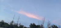 撒谎≠坏孩子，父母无需过度反应，伤了孩子，也伤了亲子关系。


说谎并不可怕，可怕的是我们用错误的处理方式，影响了孩子。当面对孩子撒谎时，不要急，也不要慌，去坦然、平等地面对孩子的问题，给到孩子足够的尊重和信任，站在孩子那边，陪他们去克服困难，面对这个世界。


愿每个孩子都能够活得真实、坦荡，勇敢自在地做自己。配图