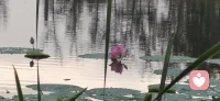 孩子的未来🌱
藏在他们的自信里❤️
父母的鼓励和信任🌻
就是点亮这扇窗的光✨配图