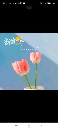 這世界只有一種成功，就是以自己喜歡的方式過一生。早安~配圖
