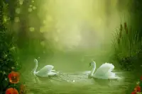 努力的意義不在于要讓你取得多大的成就，而是活得比原來那個自己更好一點。配圖