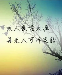 從古到今，都是這個道理，有些人你記一輩子，有些人記你一輩子，但這些人很少有重合的。配圖