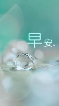 纵然你昨夜辗转难眠，也拒绝不了今天成为另一个美好的开始。早安，你好！配图