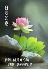 不那么好過的日子里，要學(xué)會每天給自己，找一個開心的理由，哪怕只是陽光很暖，電量很滿。早安，你好！配圖