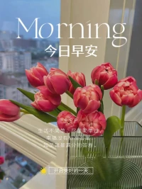 假如你感到沮喪，就請(qǐng)你分門別類地把沮喪的理由寫下來(lái)。

假如你哀傷，就嘗試著把哀傷的理由也提綱挈領(lǐng)地寫下來(lái)。

如果你也不知道因?yàn)槭裁矗褪切臒┮鈦y、百爪撓心、不知所措、諸事不順的時(shí)候，也請(qǐng)你把所有可能導(dǎo)致如此糟糕心情的理由寫下來(lái)。

不要嫌麻煩，依此類推——當(dāng)你憤怒的時(shí)候，當(dāng)你寂寞的時(shí)候，當(dāng)你無(wú)所適從的時(shí)候，當(dāng)你自卑和百無(wú)聊賴的時(shí)候……配圖