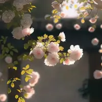 生活就是這樣，

別人看到的是結果，

而自己撐的是整個過程。

沒什么大徹大悟，

無非步步錯步步悟。配圖