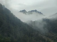 《送給親愛的自己》
你好啊，親愛的自己，
我很喜歡自己微笑，
也尊重自己哭泣，
我喜歡自己堅強，
也尊重自己脆弱，
我喜歡自己勇敢，
也尊重自己膽怯，
我喜歡自己快樂，
也允許自己悲傷，
我喜歡自己平靜，
也允許自己憤怒，
我喜歡自己有這一面，
也允許自己有另一面。配圖