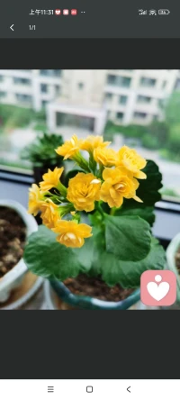 我們每個(gè)人的人生都有無(wú)數(shù)種可能，有少年得志，也有大器晚成。多一點(diǎn)耐心，認(rèn)真做事，踏實(shí)前行，所有美好定會(huì)不期而遇。配圖