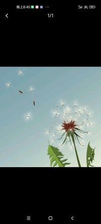 不是因?yàn)榭吹较Ｍ艌?jiān)持，而是因?yàn)閳?jiān)持了才有希望。配圖