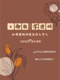 數字療愈，報上你新歷的出生年月日，就可以幫你看你的數字天賦密碼了配圖