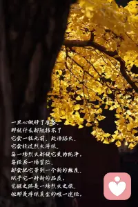 盲目地努力是在消耗生命
認知、資源、方法
哪個不比努力重要配圖