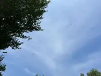 抬頭望望天空，有云朵，還有各色的風箏，好輕松啊！配圖