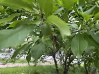 早安！親愛的自己！每一天我們都在成長哦！配圖