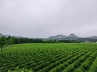 早安！親愛(ài)的自己！元?dú)鉂M(mǎn)滿(mǎn)！配圖
