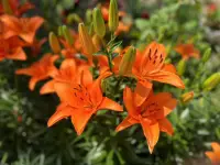 當(dāng)我們有需求的時(shí)候，就表達(dá)出來，或者行動(dòng)起來，不要沉浸在自己的想象中哦！配圖