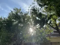 對于普通人來說，一生最重要的功課就是學會接受自己。

———卡爾·古斯塔夫·榮格配圖