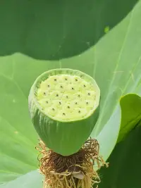 温和而坚定地表达出自己的想法，不是要求，而是分享，是高级的有效沟通。配图