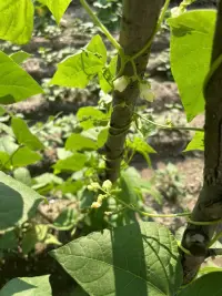 溝通以前可以做做深呼吸，讓自己的內(nèi)心平靜下來，想想自己想要的是什么。配圖