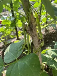 我們不是矯情，而是對情緒的波動更加敏感了。我們開始正視自己的情緒，探究背后的需要。配圖