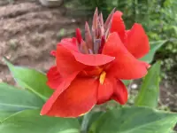 放下“應該”和“必須”的想法，給自己松綁，我們會更加自在，更有活力。配圖