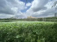 分手后如果想要挽回，我們首先要做的是平撫自己的情緒，當(dāng)自己冷靜下來，我們才可以理性地思考，梳理這段感情的來龍去脈。配圖