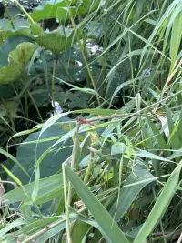 面對冷暴力時，我們要選擇回避，抽離這個冰冷的關系，把注意力放在工作和學習上，約上好朋友一起出去玩，讓溫暖和熱情取代冷漠和無視。配圖