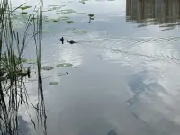 推薦兩個睡前放松的方法哈！1 深呼吸練習：慢慢地吸氣，然后緩緩地呼氣，重復多次，專注于呼吸的節奏和感覺。2 漸進性肌肉松弛：從腳部開始，依次收緊和放松身體各個部位的肌肉，感受肌肉的緊張和松弛。同時配上輕柔舒緩的古典音樂或者自然音樂效果更佳哦！配圖