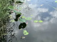 如果有些問題我們無法解決，又感覺到無力，心情不好，那么，請把這些問題暫時放在一邊，不要允許自己陷在其中。生活有很多內容，我們去做力所能及的事情，做讓自己有力量、很開心的事情，試著讓自己的能量流動起來。配圖
