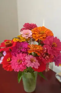 在親密關系中，對方因為遇到了不順心的事情而感到郁悶，這個時候，請不要在一個高的位置上給他一大堆的建議，免得他更加煩躁。我們應該以平等的尊重的心態問問他：“我能做些什么呢？”，而不是指教對方要怎么做。配圖