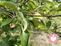 不要把我們的情緒深埋心底，免得我們自己受攻擊。找到適合自己的方式來(lái)表達(dá)、宣泄情緒，可以唱唱歌、跳跳舞、打打球，或者借助寫作的方式，或者和知己聊聊天……讓能量流動(dòng)起來(lái)，讓我們整個(gè)人舒展開(kāi)來(lái)……配圖